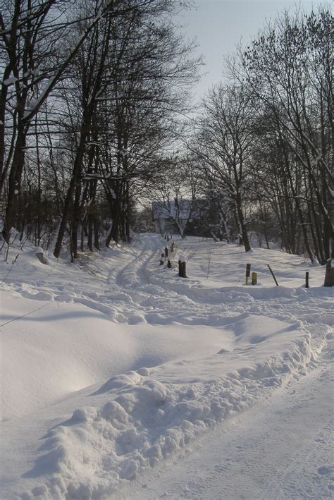 Bildet Landskap Tre Snø Vinter Hytte Vær årstid Fottøy Polen
