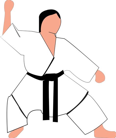 Más De 1 Ilustraciones De Karate Shotokan Y Kárate Gratis Pixabay