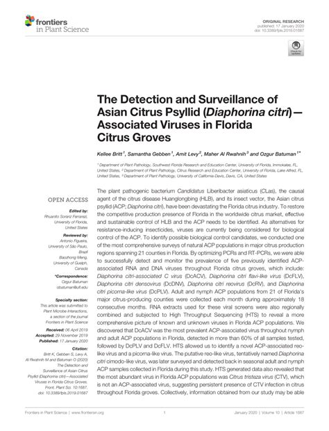 Pdf The Detection And Surveillance Of Asian Citrus Psyllid