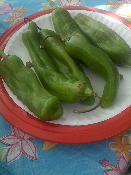 Annual New Mexico Green Chile Pepper Harvest Threatened By Drought