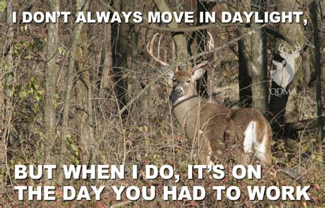 Pin By Felicity Clark On So My Husband Deer Hunting Memes Hunting
