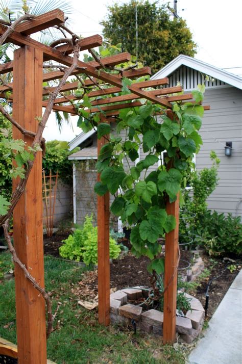 A Wooden Trellis In The Middle Of A Yard With Green Plants Growing On It