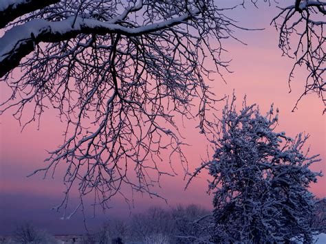 Milford, MA Patch - Home