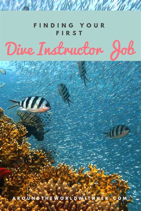 There are some working visa options available if you study there for. Need help finding your first job as a Dive Instructor ...