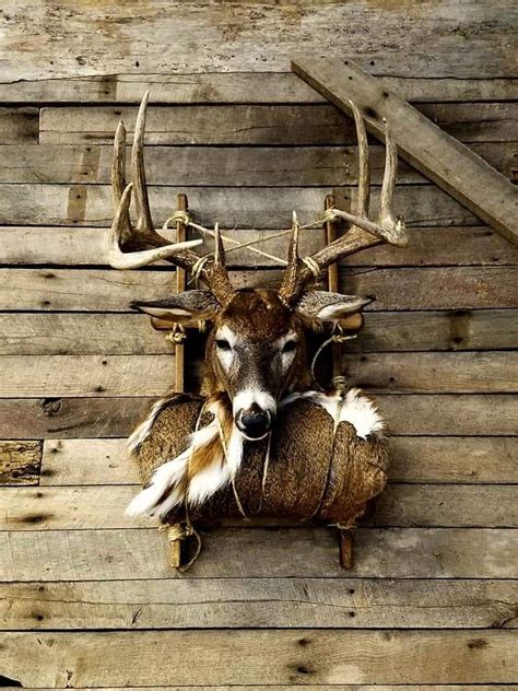 Pin By Greg Ebling On Deer Mount Deer Hunting Decor Hunting Cabin