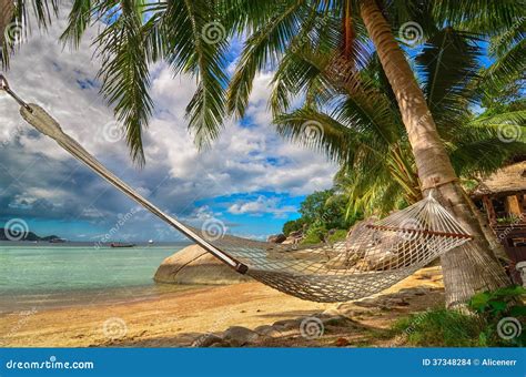 Paradis Tropical Hamac Entre Les Palmiers Au Bord De La Mer Sur Une Le Tropicale Images Stock