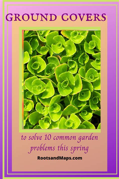 Solve 10 Common Garden Problems In 2020 Garden Problems Ground Cover