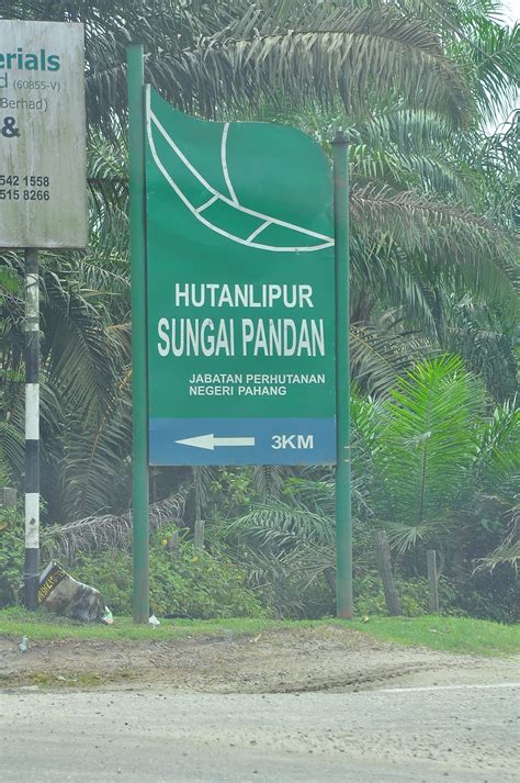 Sinopsis leftenan adnan wira bangsa. Sungai Siput Boy: Hutan Lipur Sungai Pandan Waterfall ...