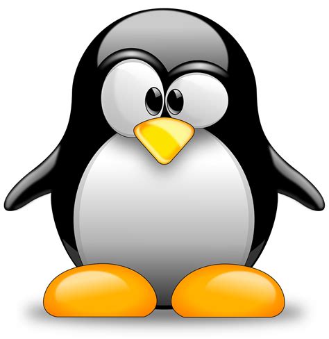 Download Tux Racer Linux Penguins Penguin Free Transparent Image Hq Hq