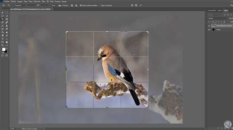 C Mo Recortar Y Redimensionar Imagen En Photoshop Solvetic