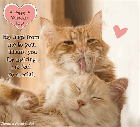 Thank You Valentine Cat Kisses. Free Thank You eCards, Greeting Cards