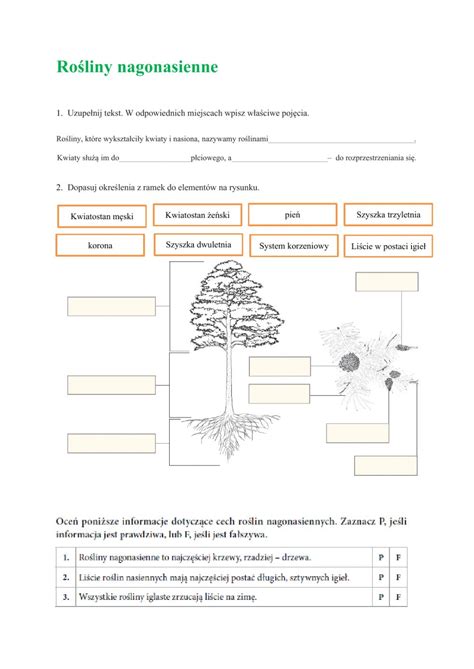 Interactive And Downloadable Worksheet You Can Do The Exercises Online