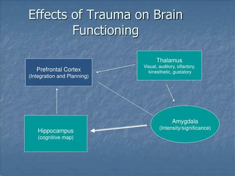Ppt Creating A Trauma Informed Learning Environment Powerpoint