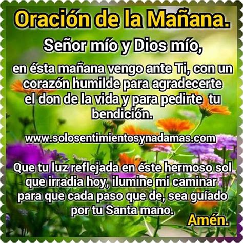 Oración De La Mañana Señor Mío Y Dios Mío En ésta Mañana Vengo Ante