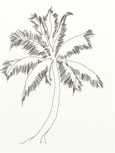 Aggregate Coconut Tree Images For Drawing Seven Edu Vn