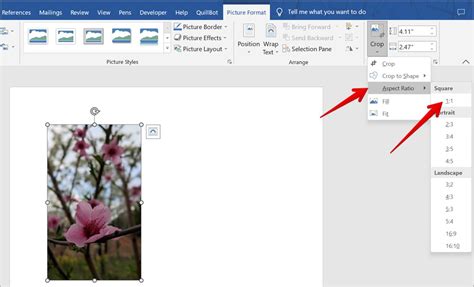 7 Best Ways To Crop A Picture In Word Document Circle Crop Included