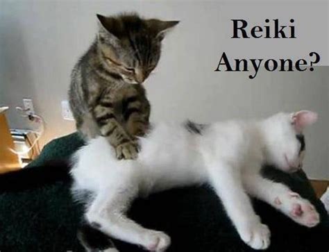 32 Zen Cats Who Could Be Spiritual Gurus Animal Reiki Cat Massage