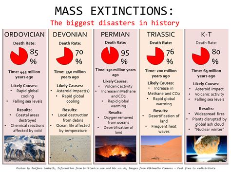 Study Confirmed Late Ordovician Mass Extinction 450 Million Years
