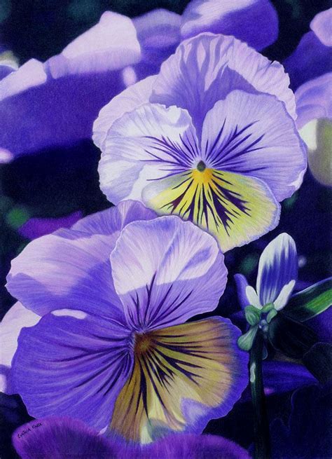 35 beautiful flower drawings and realistic color pencil drawings realistic flower drawing