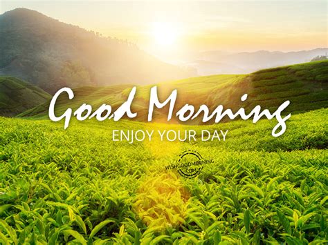 Extensive Collection Of 999 Good Morning Wishes And Images In Stunning