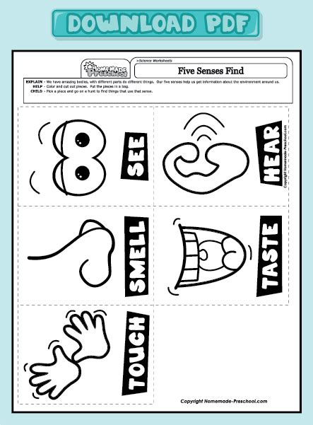 After having reviewed each of the five senses individually through reading about them and doing activities (you can find all those posts here), i had my kids do a five senses sorting activity. Fun and Interactive Preschool Worksheets