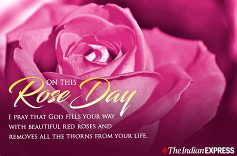 Happy Rose Day 2022 Wishes Images Quotes Status Hd Wallpapers 