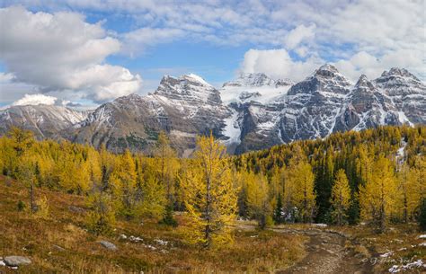 Larch Valley Hike Guide Hike Through A Golden Forest In Banff National