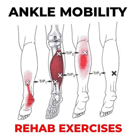 James Lu Rmt 🇨🇦 To On Instagram “🚨 3 Exercises To Improve Your Ankle