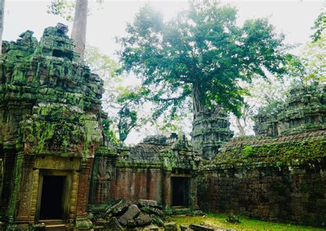 Travel Tip How To Avoid The Crowds At Ta Prohm Temple