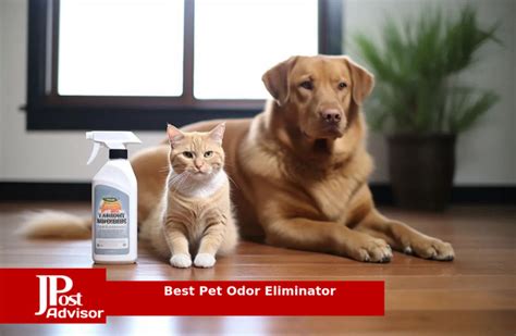 10 Best Pet Odor Eliminators For 2023 The Jerusalem Post