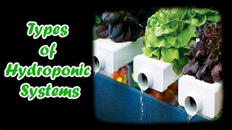 7 Major Types Of Hydroponic Systems Modern Farming