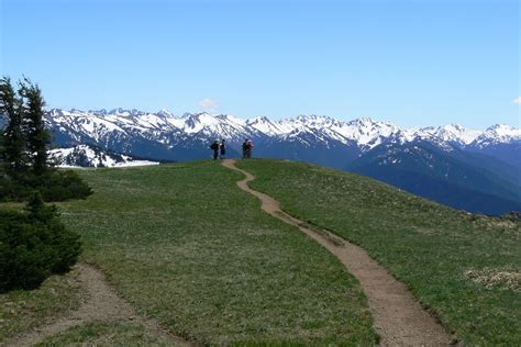 The View From Hurricane Ridge Trail Overlooking The Olympic Mountains