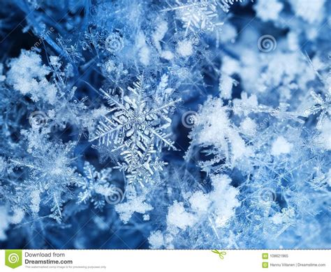 Real Ice Crystals After Snowfall Stock Image Image Of