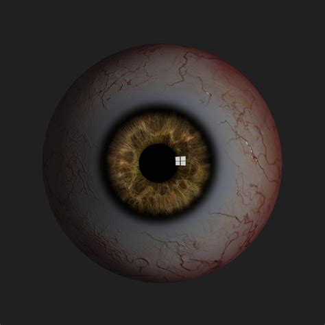 Realistic Human Eye 3d Model Game Ready Obj Fbx Blend Mtl