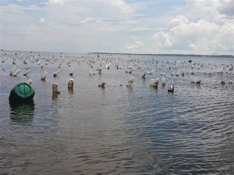 Drone dji phanthom pulau bum bum, sabah. Rumput Laut Indonesia: Berkunjung ke Petani Rumput Laut di ...