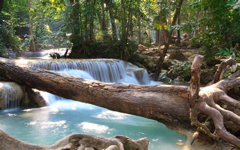 Download Wallpapers Waterfalls River Rainforest Wildlife Blue Water