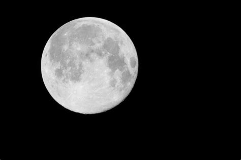 Luna llena loc nom flocución nominal femenina: The Full Moon
