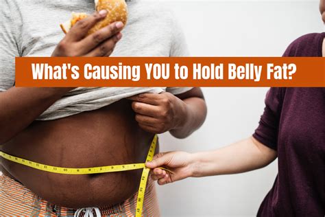 Whats Causing Me To Hold Belly Fat Take The Belly Fat Quiz Here N8 Training Systems