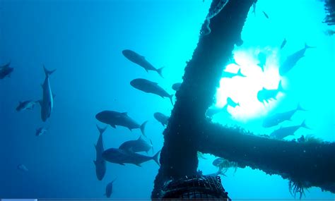 The artificial reefs can be considered as interventions of engineering technology to: State Govt to consult fishing community over $1m ...