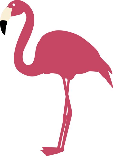 Flamingo 3 Svg Cut File Snap Click Supply Co