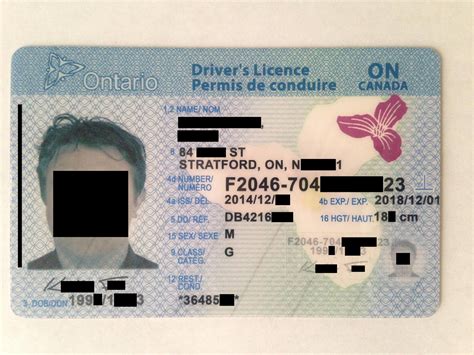 Four Black Dots Ontario Drivers License Mgmtbom