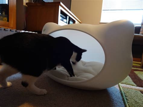 Product Review A Pawsome Cat Cave By Jerrys Katzenworld