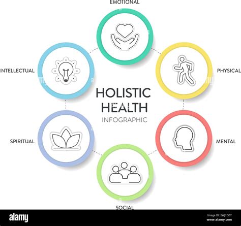 Holistic Health Framework Infographic Diagram Chart Illustration Banner