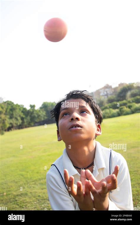 Boy Catching Cricket Ball In The Ground Stock Photo Alamy