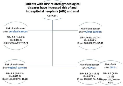 Jcm Free Full Text Anal Cancer And Anal Intraepithelial Neoplasia