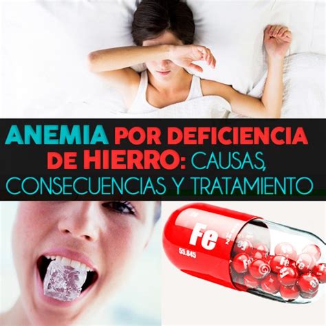 Anemia Por Deficiencia De Hierro Causas Consecuencias Y Tratamiento