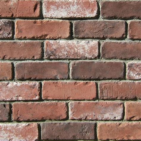 Coronado Stone Products Special Used Brick 10 Pack 25 In X 8 In Rustic