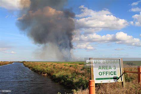Sugar Cane Fields Burning High Res Stock Photo Getty Images