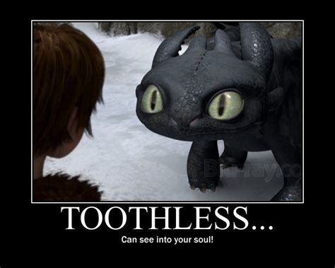 Oo Its Hard To Beat This Guy At A Staring Contest Toothless