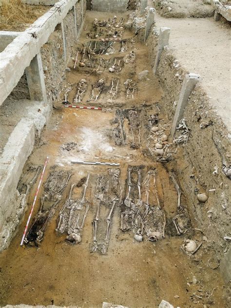 IN PICS: Mass grave unearthed in Spain's Cadiz - Olive Press News Spain
